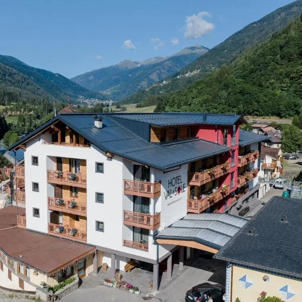 Hotel Val Di Sole, hotel in Mezzana