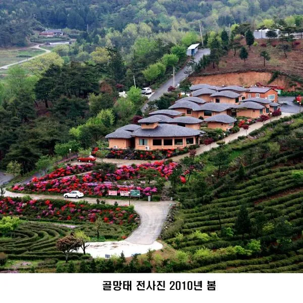 Golmangtae Pension, hotel v destinaci Boseong