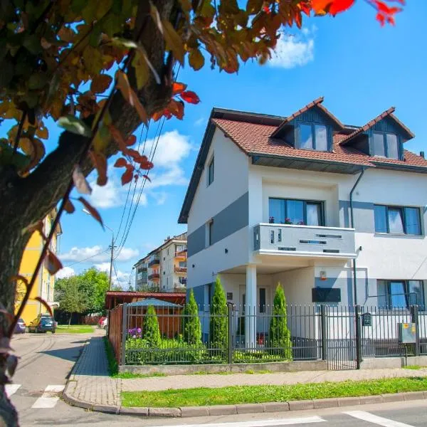 Vila Roza, hotel v destinaci Sighetu Marmaţiei