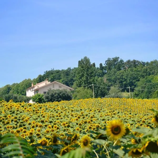 LE PIUME B&B, hotel in Cupramontana