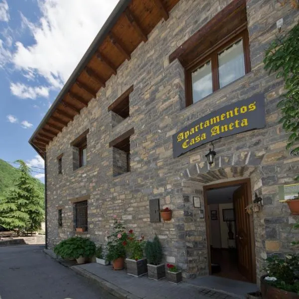 Apartamentos Casa Aneta, hotel v destinaci Sarvisé