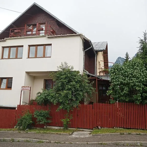 Casa Rodica str. Clabucetului 28, hotel u gradu Bušteni