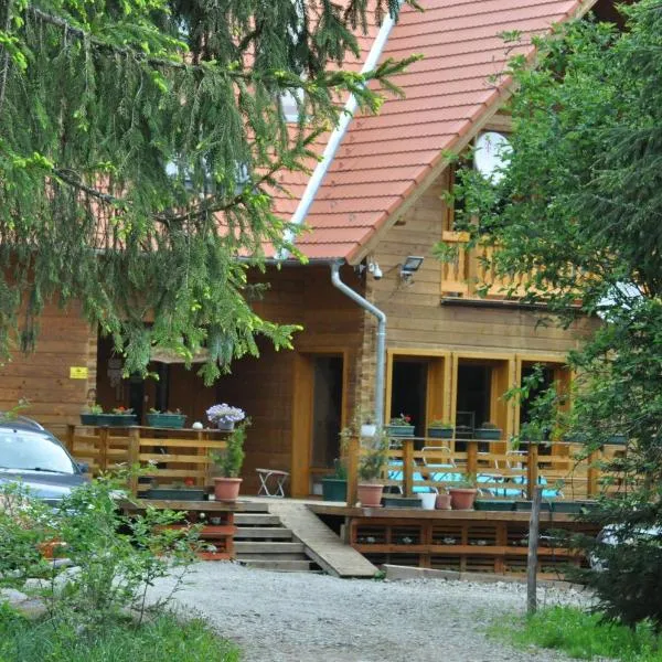 Mofetta Panzió, hotel in Sîntimbru-Băi