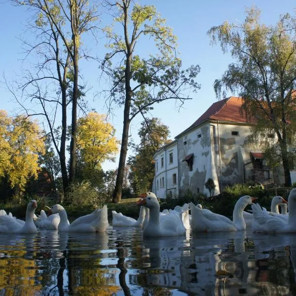 Piotrowice Nyskie Palace, hotel in Otmuchów