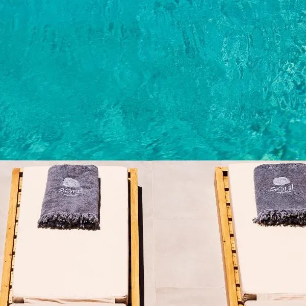 Mykonos Soul Luxury Suites, Hotel in Agios Stefanos