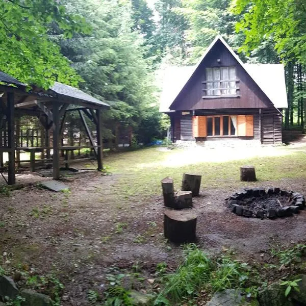 Slovak cottage near Bratislava in the heart of the Carpathians, hotel in Častá