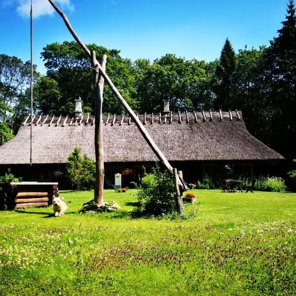 Kotka Farm, hotell sihtkohas Saareküla