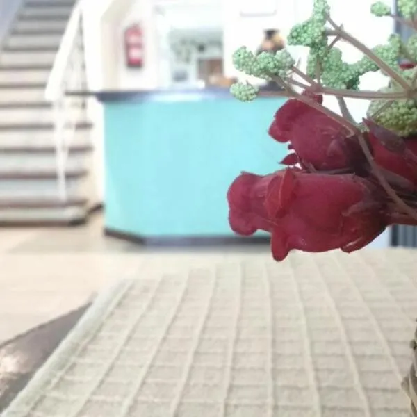 Hotel Messina, отель в городе Мар-дель-Плата