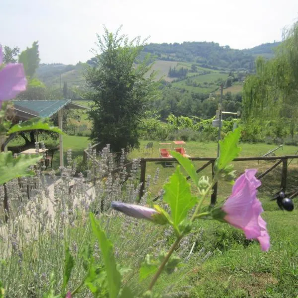 Le Spighe Agriturismo, hotel in Sogliano al Rubicone