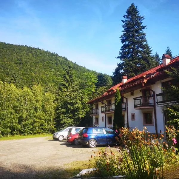 Floarea Reginei, hotel in Stațiunea Climaterică Sâmbăta