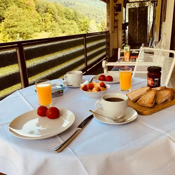 바트 헤렌알프에 위치한 호텔 Black Forest Apartment