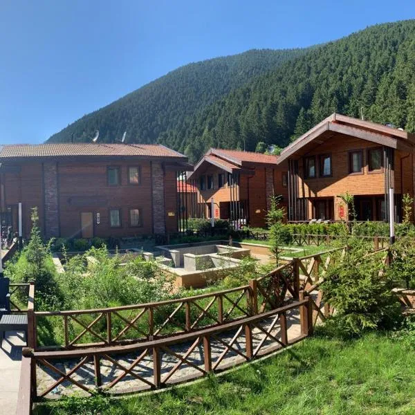 Inanlar Premium Suites & Villas, hotel in Uzungöl