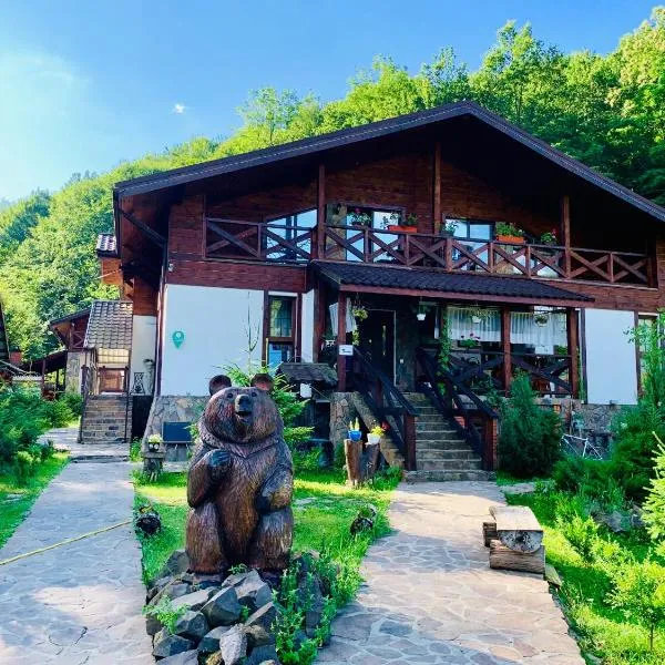 Chalet Vedmezhe、ポリアナのホテル