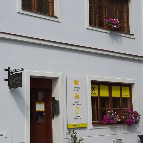Penzion U Žabáka, хотел в Микулов