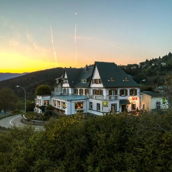 Hôtel Panorama, hotel en Munster