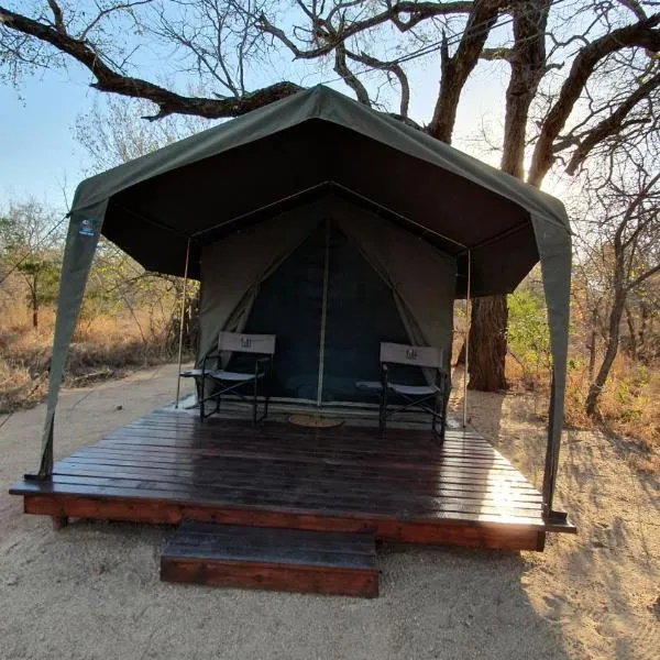 Mzsingitana Tented Camp, hotel en Manyeleti Game Reserve