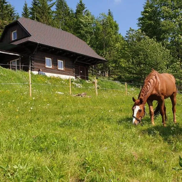 PANORAMA RANČ, hotel v destinaci Ježíci