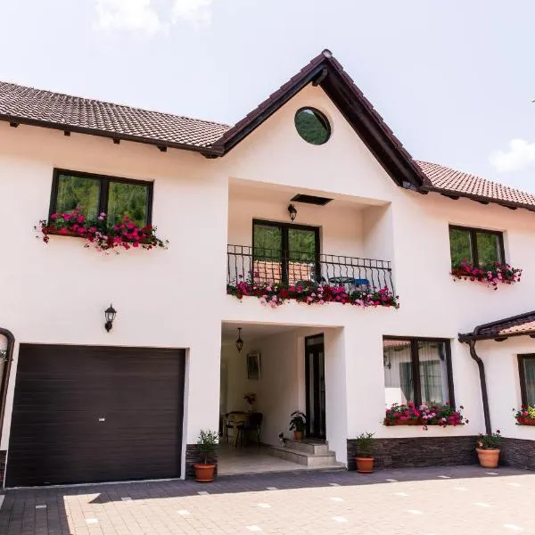 Vila Rodica Transalpina – hotel w mieście Şugag