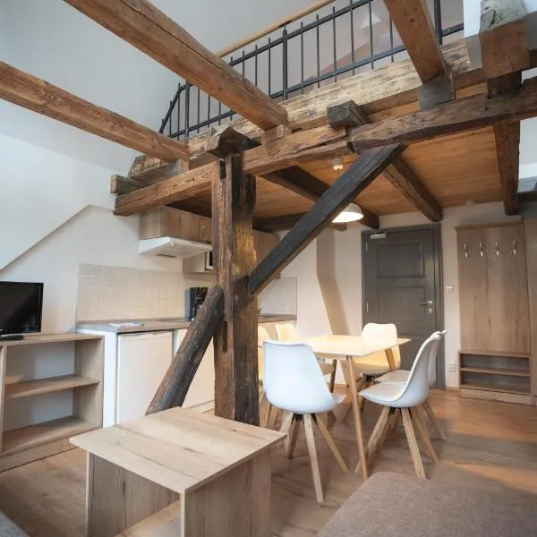 Apartmány Jurica Boží Dar 88, hotel v destinaci Boží Dar