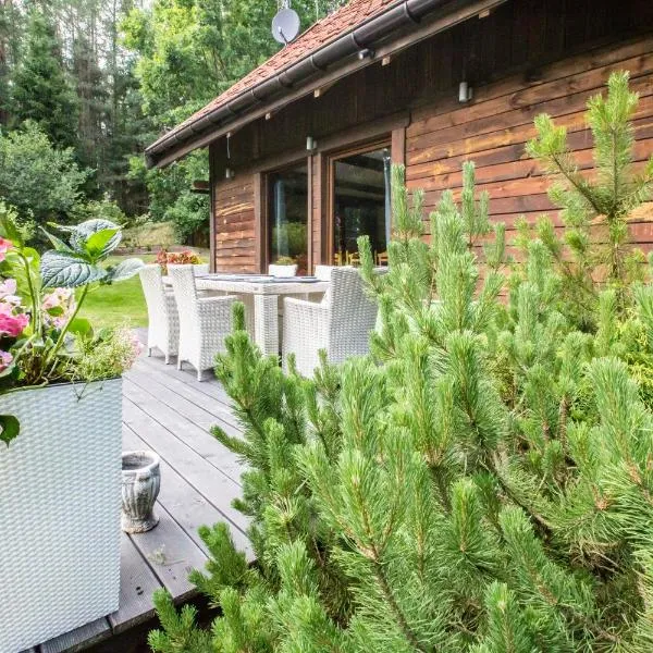 Zezuj Agroturystyka i Łowisko, hotel en Zezuj