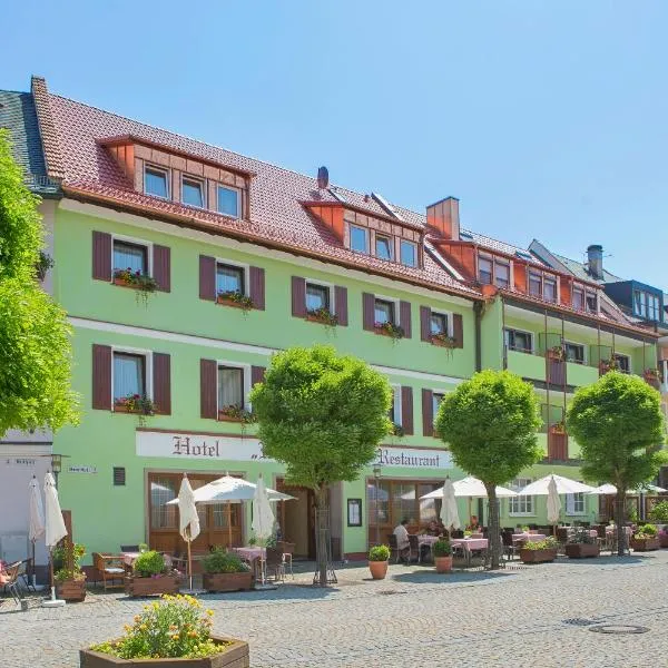 Hotel Wilder Mann, hotel in Hartenstein
