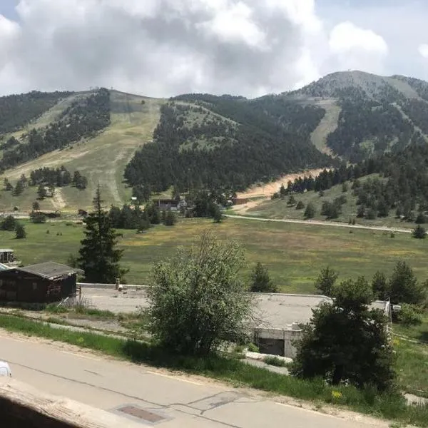 Gréolières les neiges, hotel in Cipières