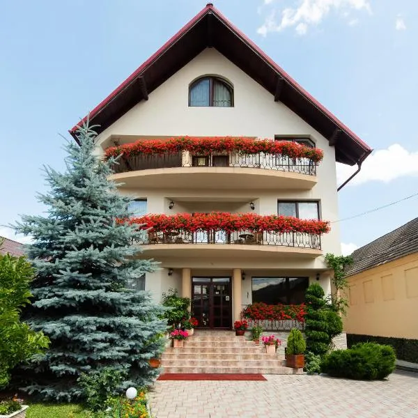 Camere de inchiriat Casa cu flori, hotel en Săcele