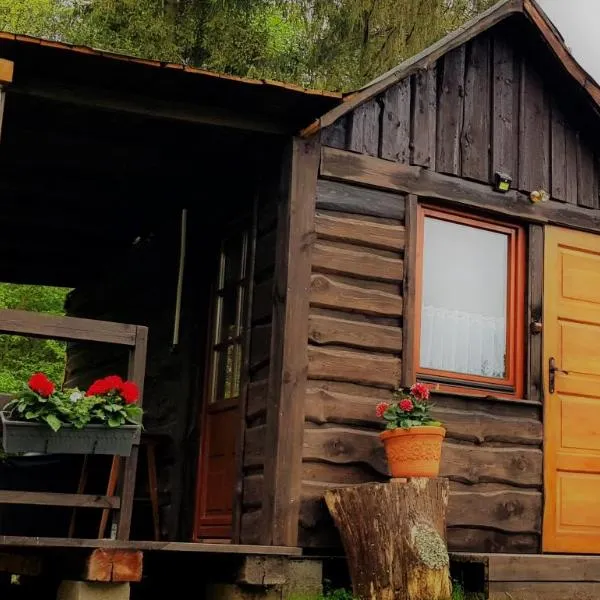 Domek pod lasem, hotel v destinaci Mikołajki