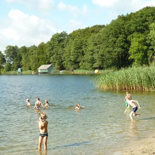 Ferienwohnung am Dümmer See, מלון בDümmer