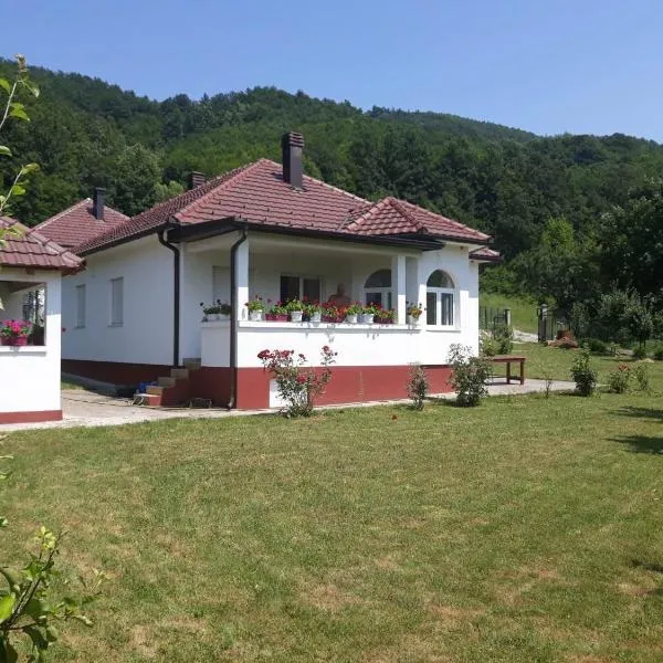 Luxury House, hotel v destinaci Bijelo Polje