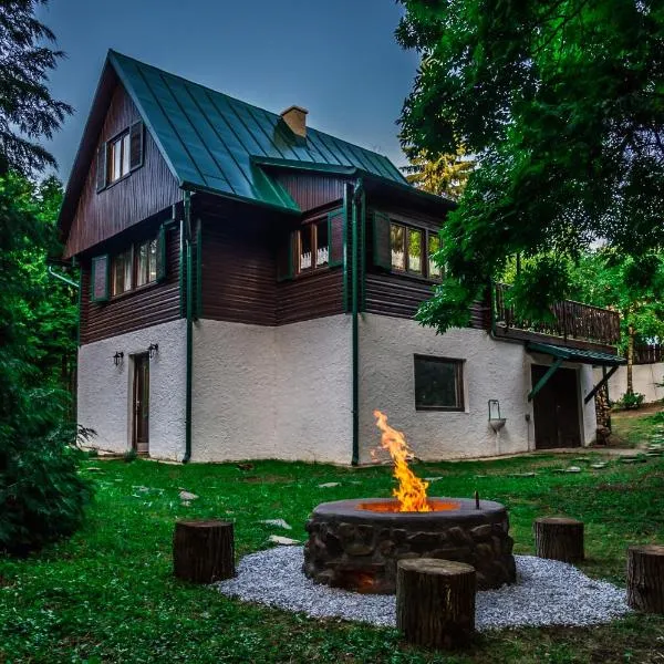 Vaskúti Faház, hotel v destinaci Matraszentistvan