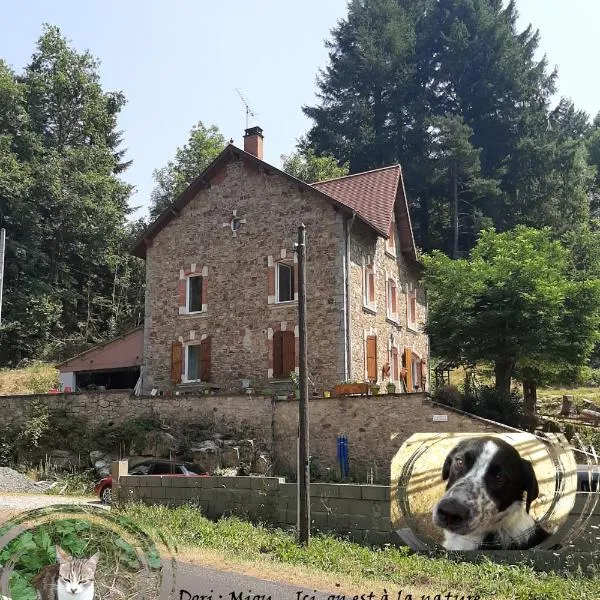 E lu chantauziau – hotel w mieście La Monnerie-le Montel