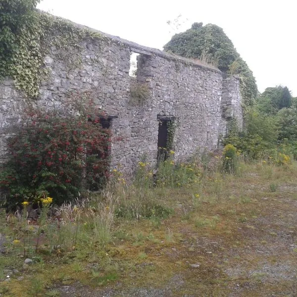 The Townhouse, hotel u gradu Claremorris