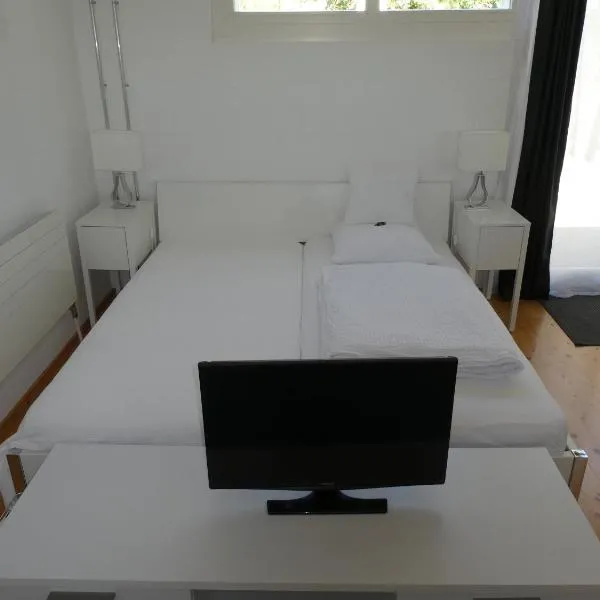 Studio Elegant, hotel v destinaci Ueberstorf