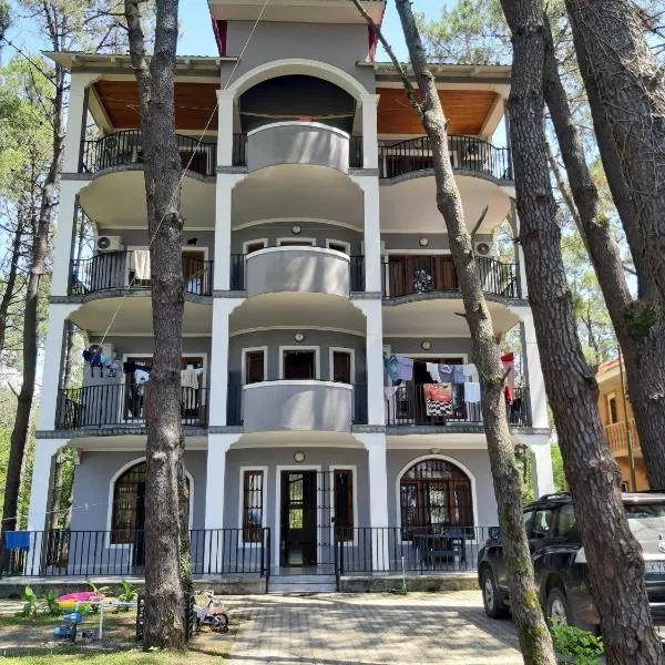 Hotel Niko, hótel í Shekhvetili