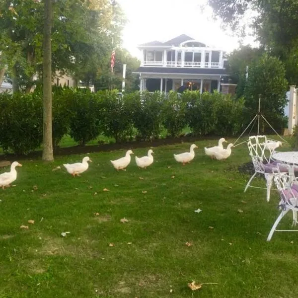 Walden on the Pond, hotel in Spring Lake