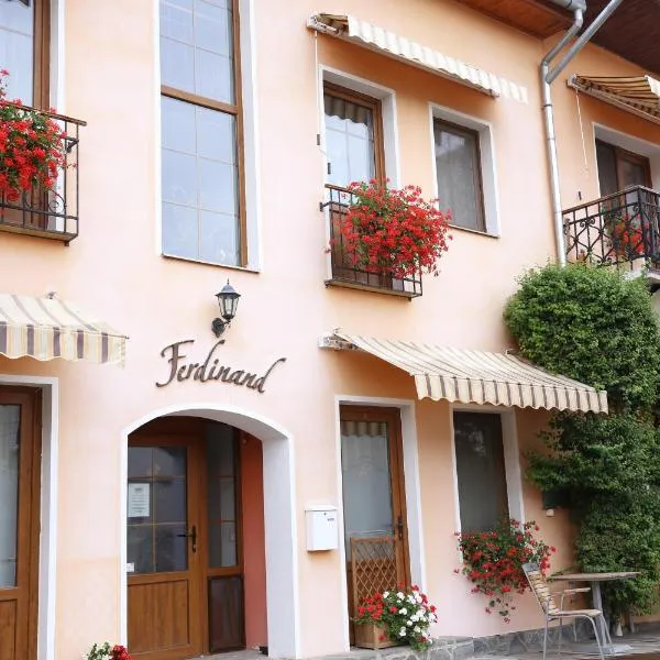 Pension Ferdinand Panzio, hotel v destinaci Sfântu-Gheorghe