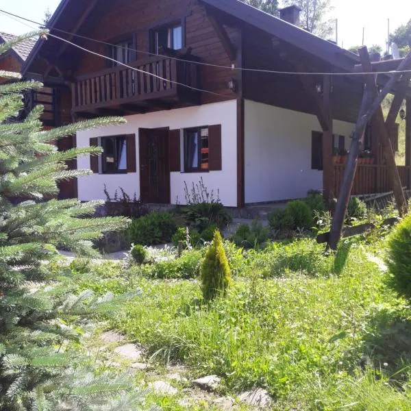 Котедж, hotel in Vorokhta