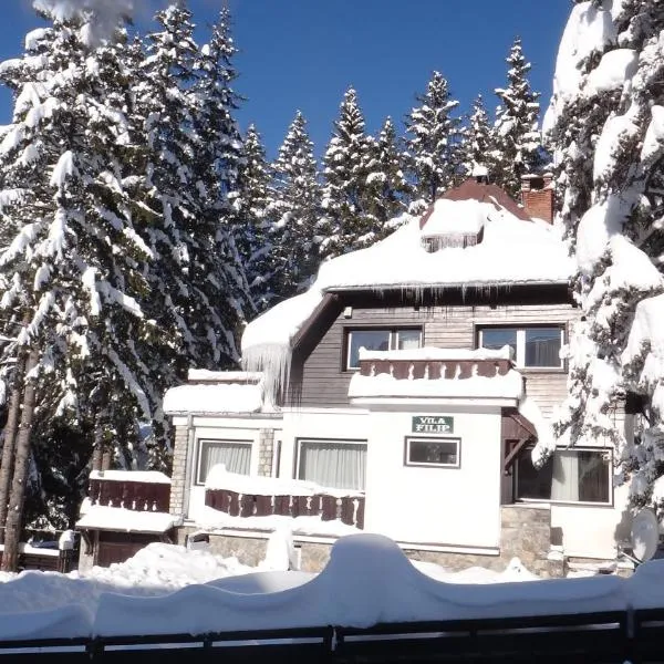 Vila Filip, hotel en Predeal