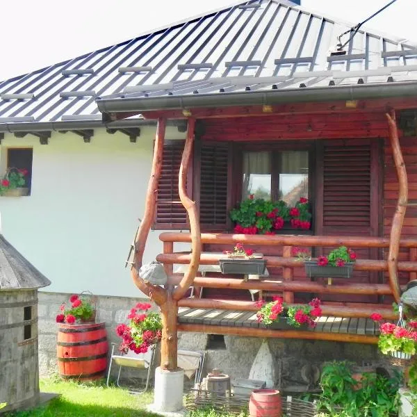 Holiday Home Captain's Village, hotel v destinaci Šljivovica