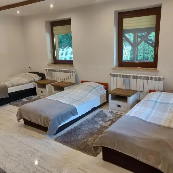 NOCLEGI-SPŁYWY BUGIEM, hotel in Sławatycze