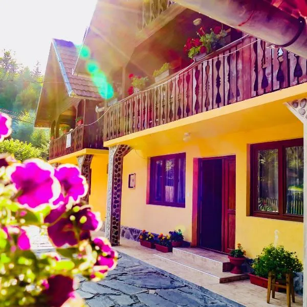 Casa Ursu, hotel v destinaci Cîrţişoara
