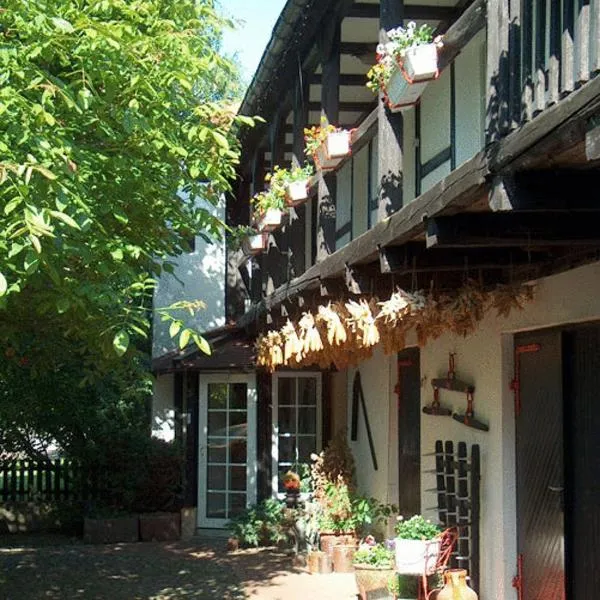 바르비에 위치한 호텔 Hotel garni & Oma's Heuhotel 'Pension zur Galerie'