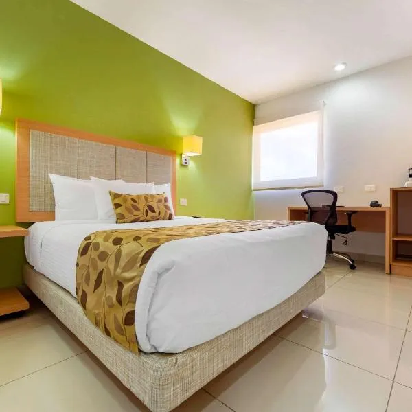 Sleep Inn Culiacan: San Pedro şehrinde bir otel
