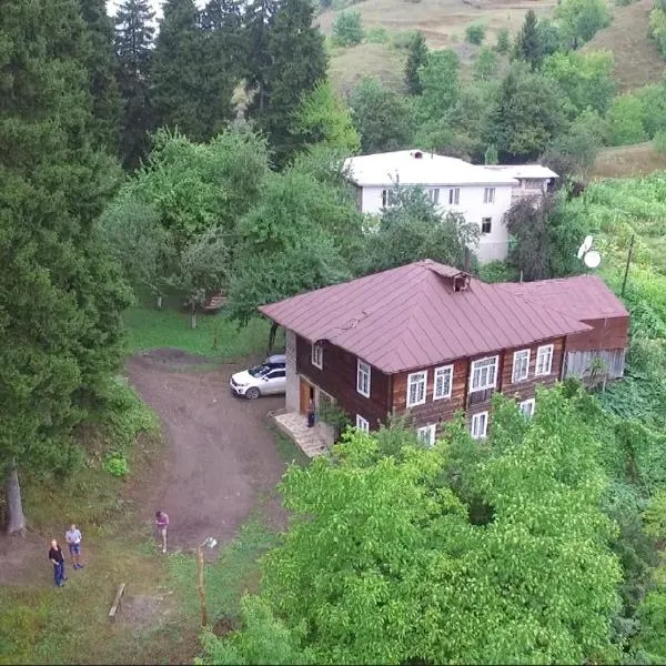 Farvana, hotel sa Didachara