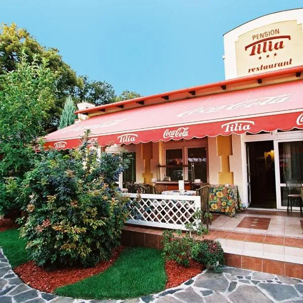 Penzion Tilia, hotel v destinaci Levice