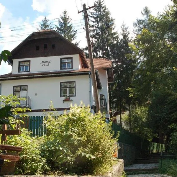 Manyi Villa, hotel v destinaci Băile Tuşnad