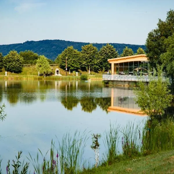 Camelot Resort, hotel in Ţigăneştii de Criş