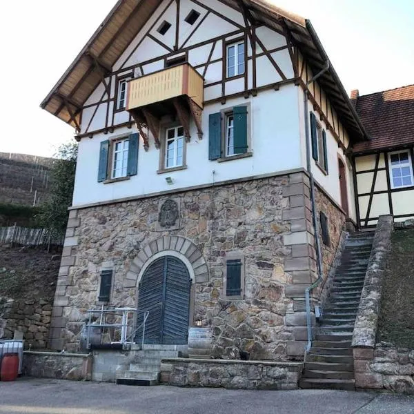 Wein Lodge Durbach - Gruppenhaus Weingut Neveu, hótel í Durbach