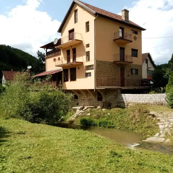 Guesthouse Smiljanić, hotel v destinaci Slavkovica